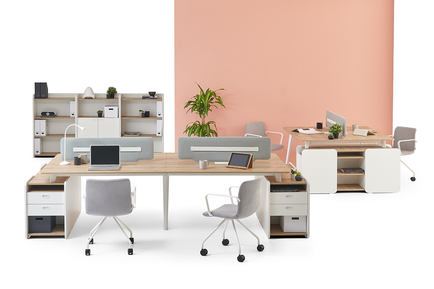 Tana va ruh uchun yaxshi ofislar