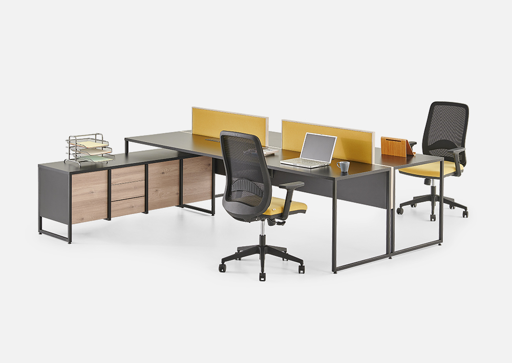 مجموعة ميلا من زيفيلا مفيدة للجسد والروح - المستقبل