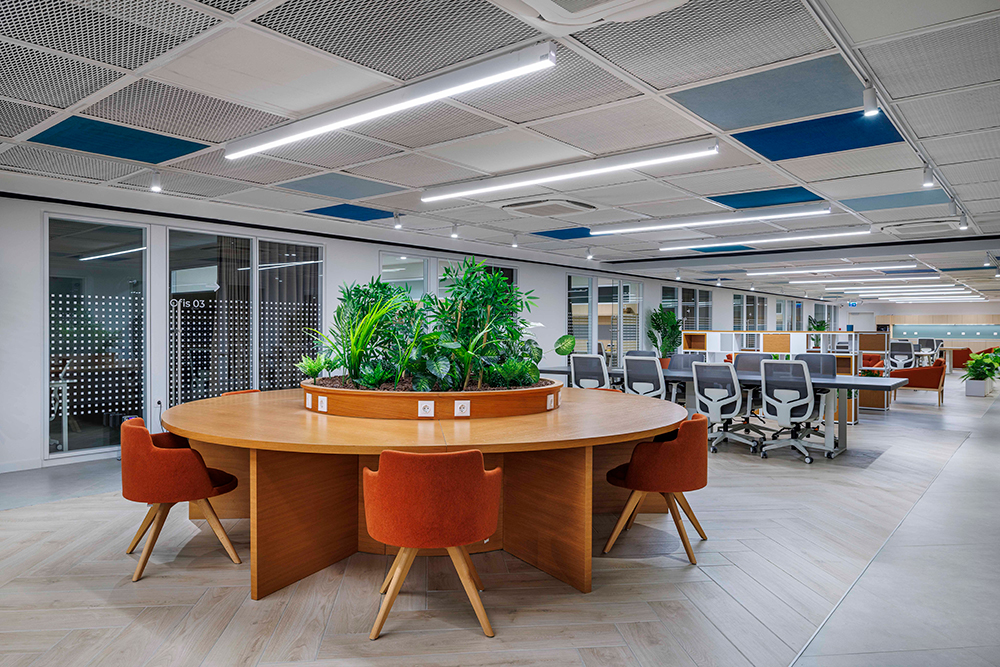 Bilişim Vadisi Vadistanbul