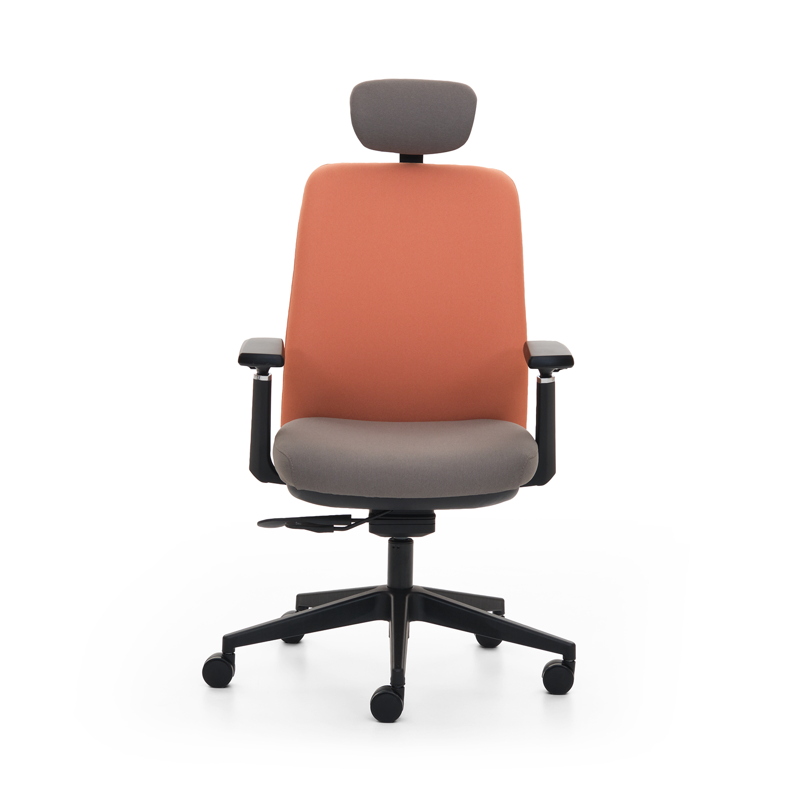 Fera Yönetici Koltuğu 1