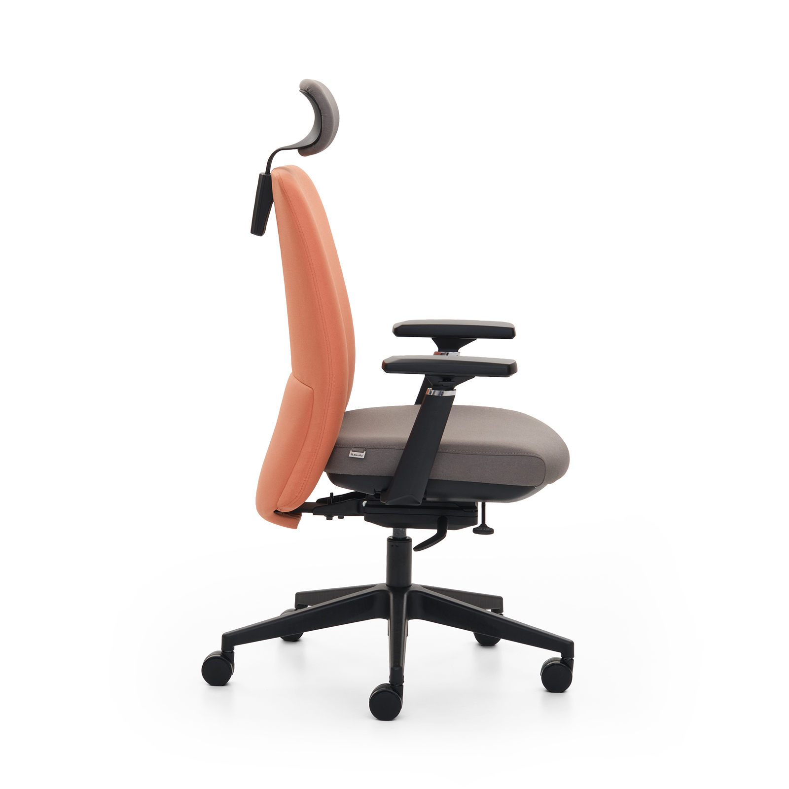 Fera Yönetici Koltuğu 3