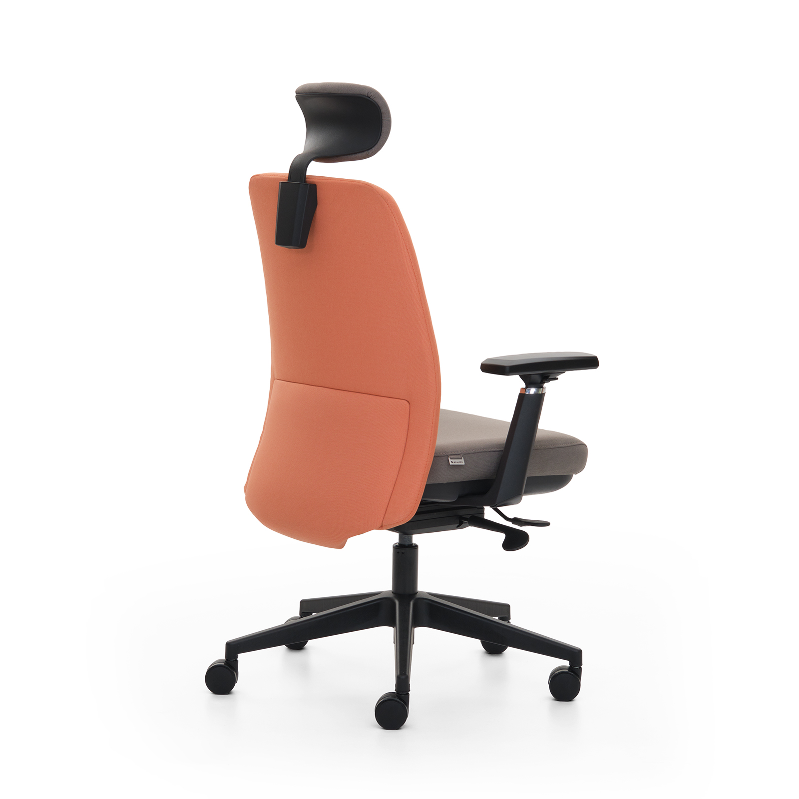 Fera Yönetici Koltuğu 4